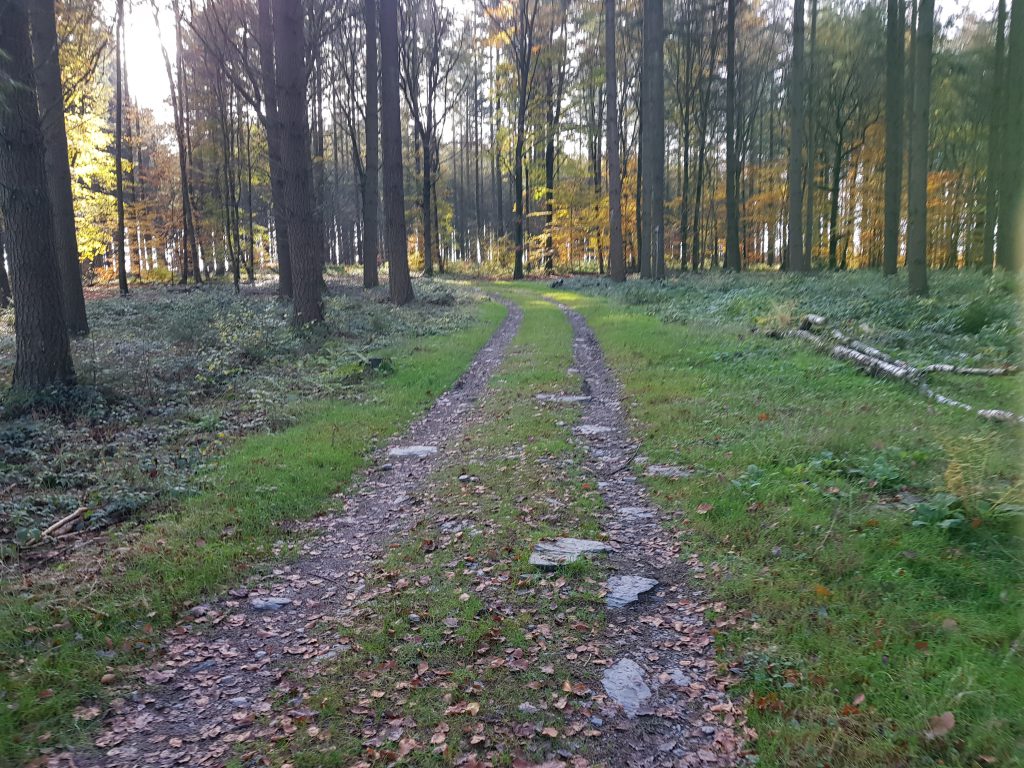 natuur ardennen