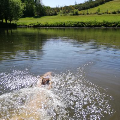 vakantijhuis ardennen zwemvijver