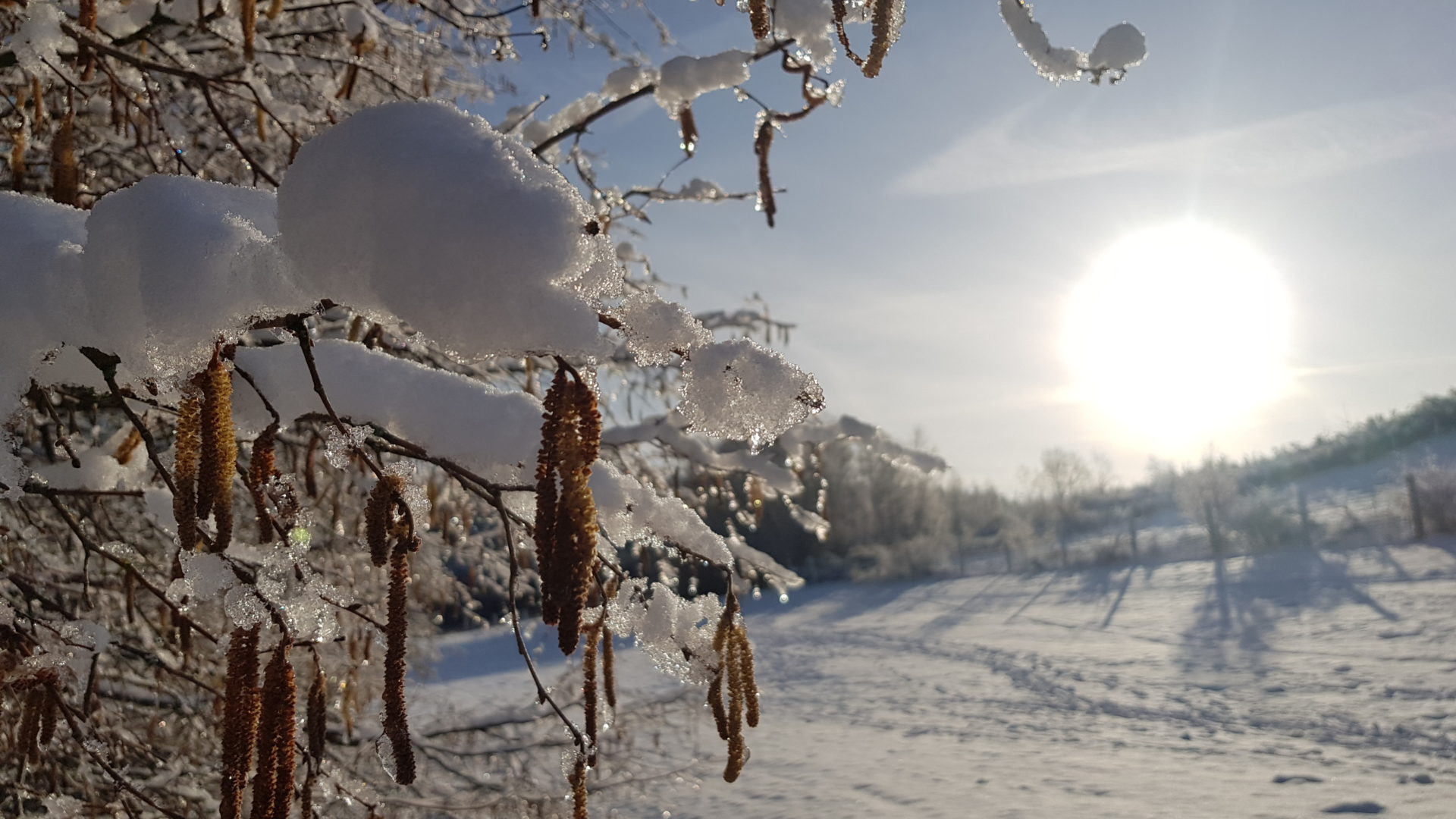 Hives winter La Roche